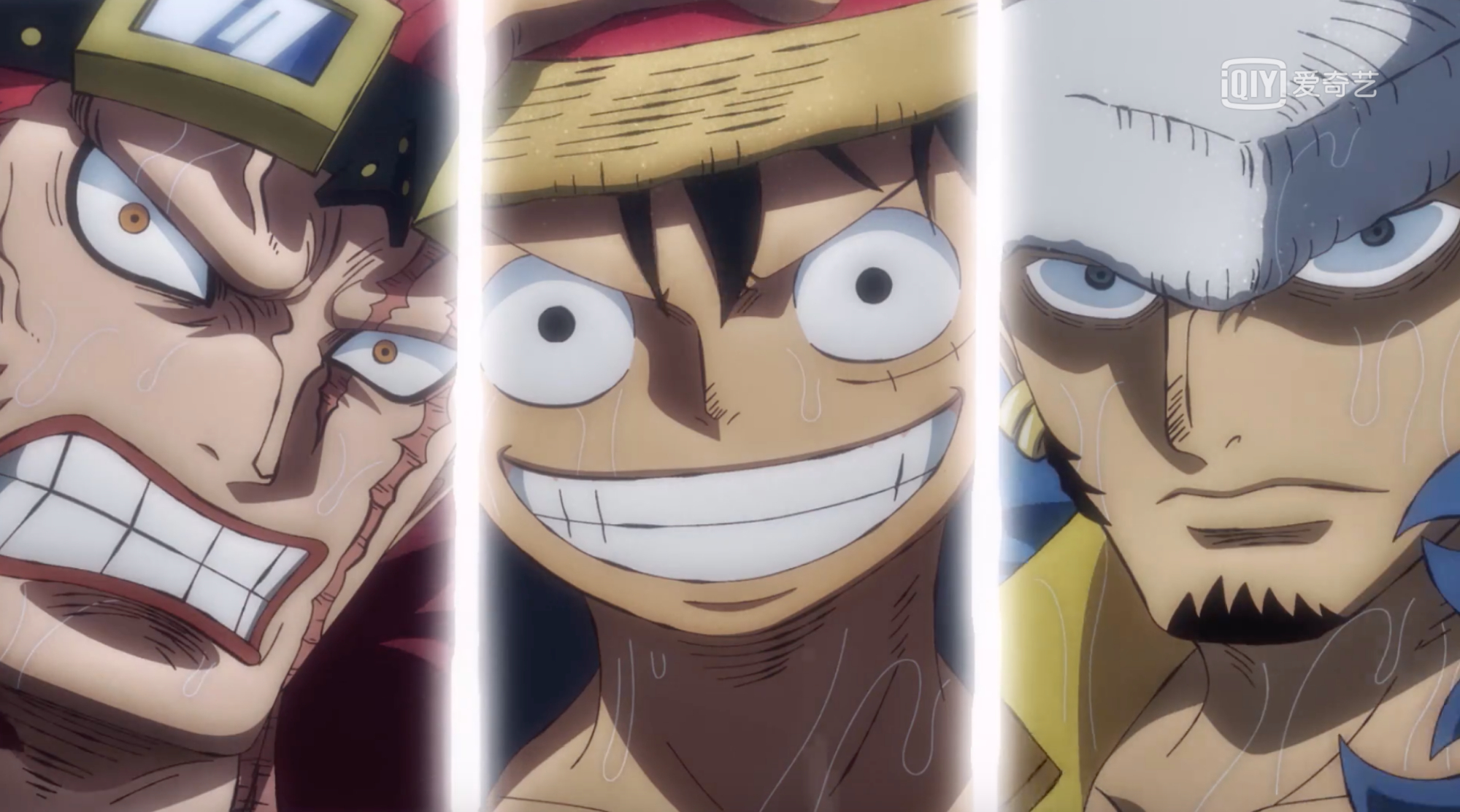 Episode 978 The Three Captains Gather Again Luffy Is In C Position And The Strength Is Already Different Inews