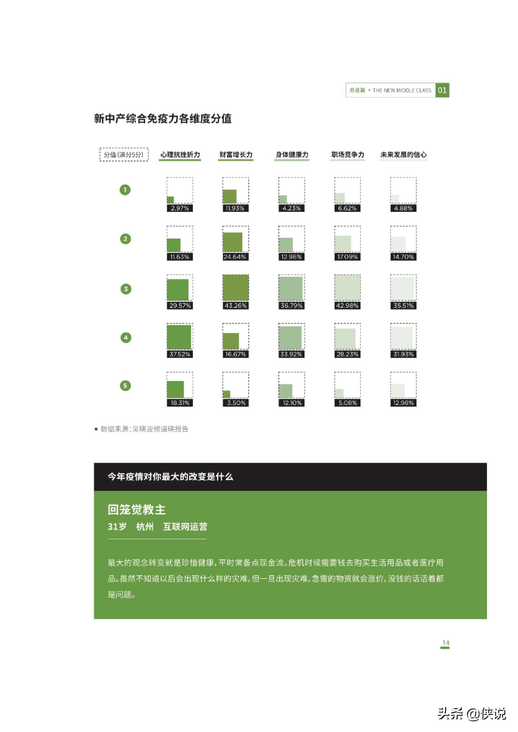 吴晓波频道：2020新中产白皮书