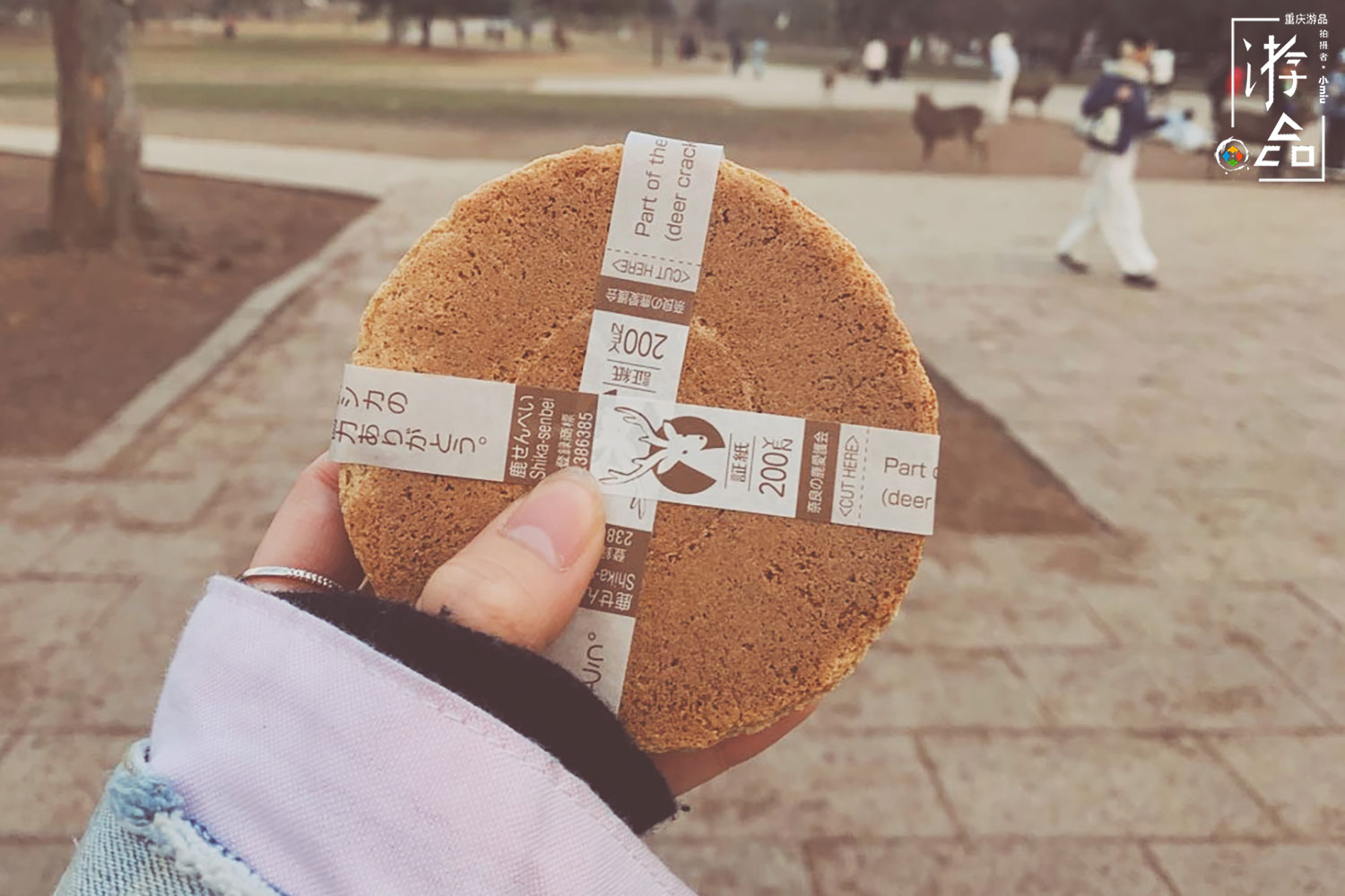 在日本奈良给小鹿当“饲养员”，饲料200日元一份，还必须说英文