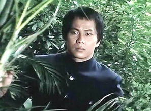 周星驰曾在这部剧中跑龙套，其余主演的发展令