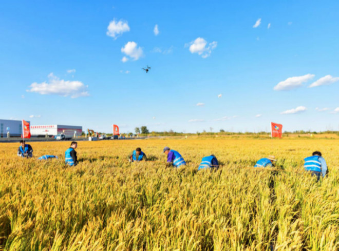 从最难的地方做起，阿里数字农业重投入盘活“最先一公里”