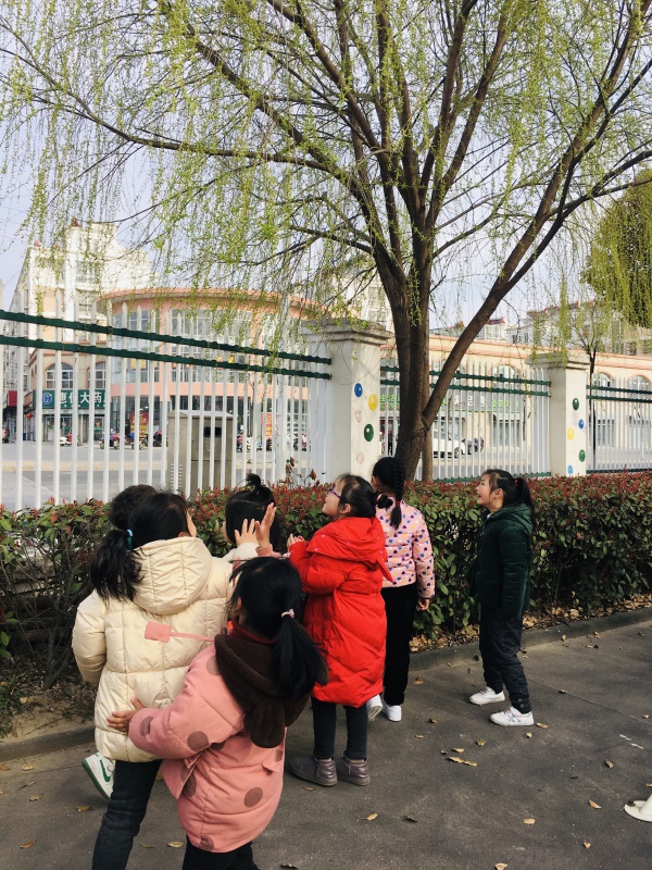拥抱春天 呵护绿色