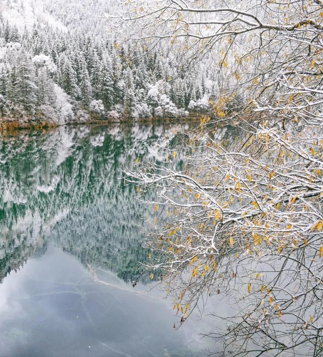 初雪来袭，关于雪的古诗美了整个冬天-第4张图片-非凡网