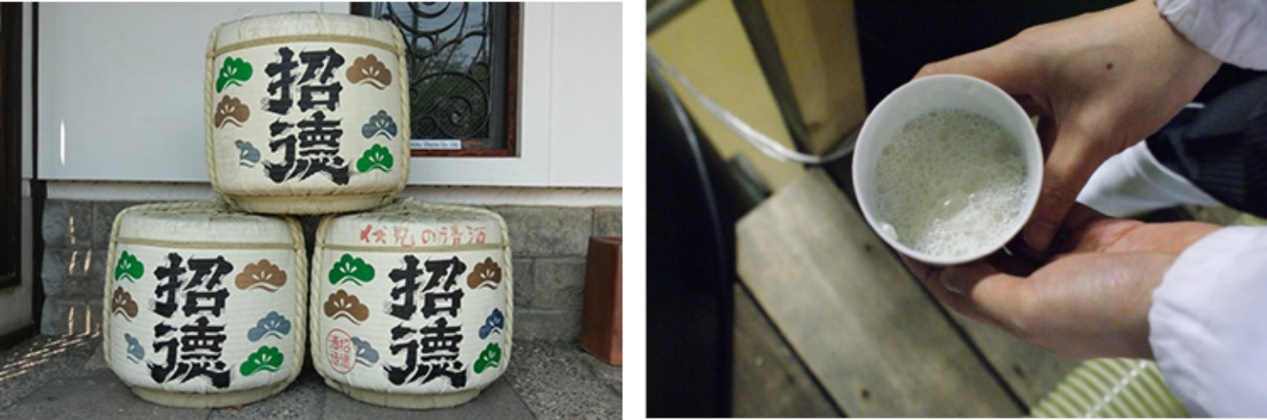 趁春光明媚，赏樱花烂漫，饮京都清酒