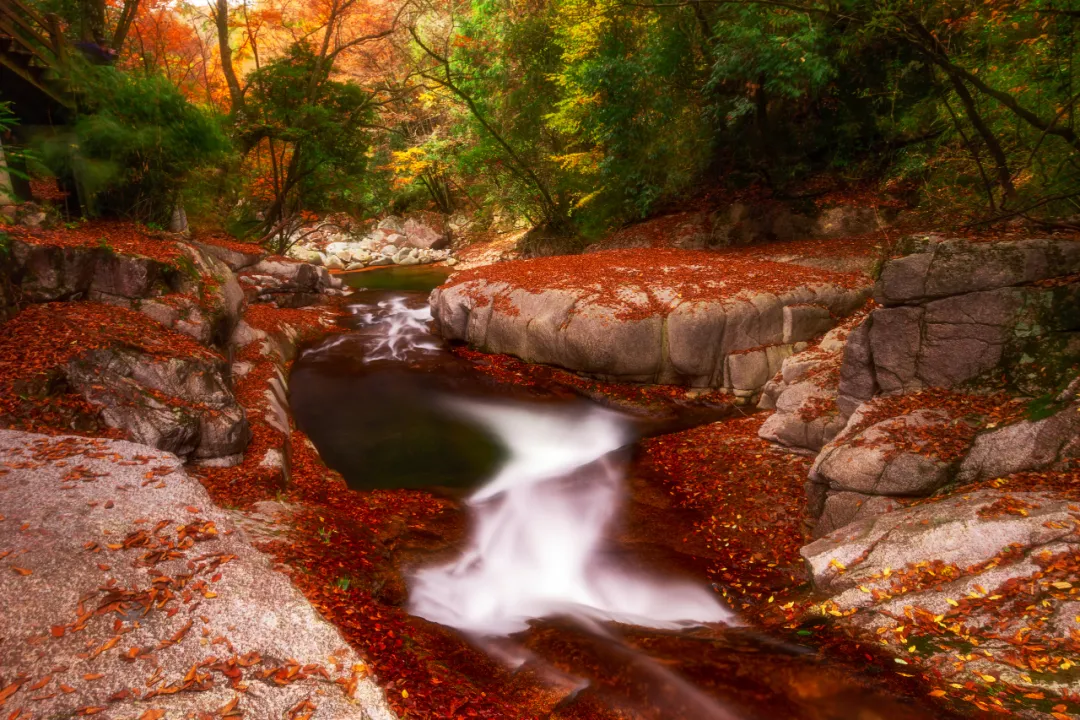 有一种心动，叫做秦巴山脉的秋天！清秋红叶，邂逅浪漫美景