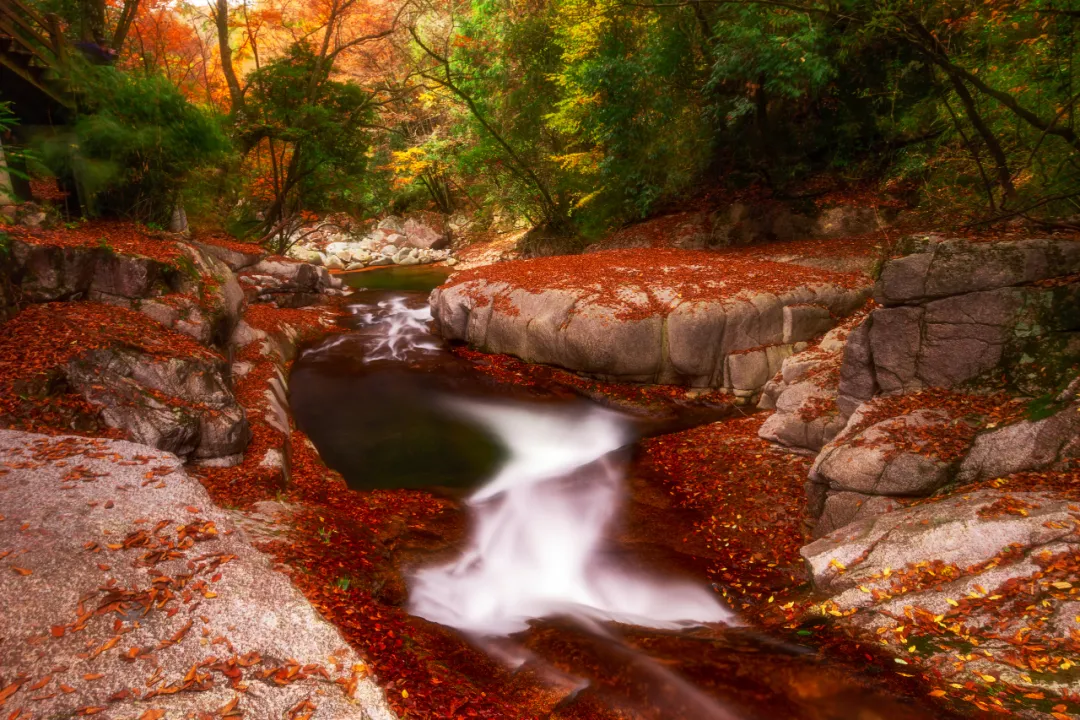 There is a heartbeat called the autumn of the Qinba Mountains!  Red leaves in clear autumn, encounter romantic scenery