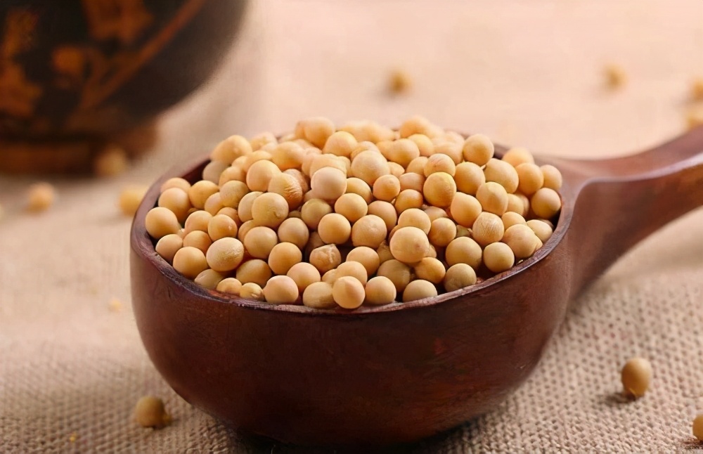 行业观察 | 新豆疯涨，大批豫籍豆企陷入“至暗时刻”