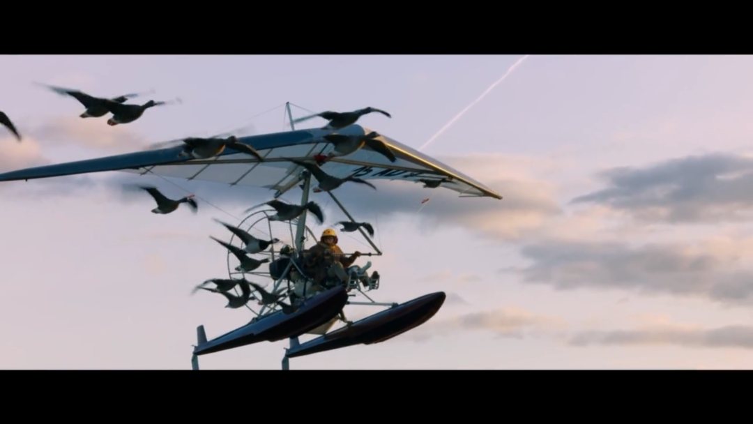 该死的，一整年的眼泪又被它提前透支