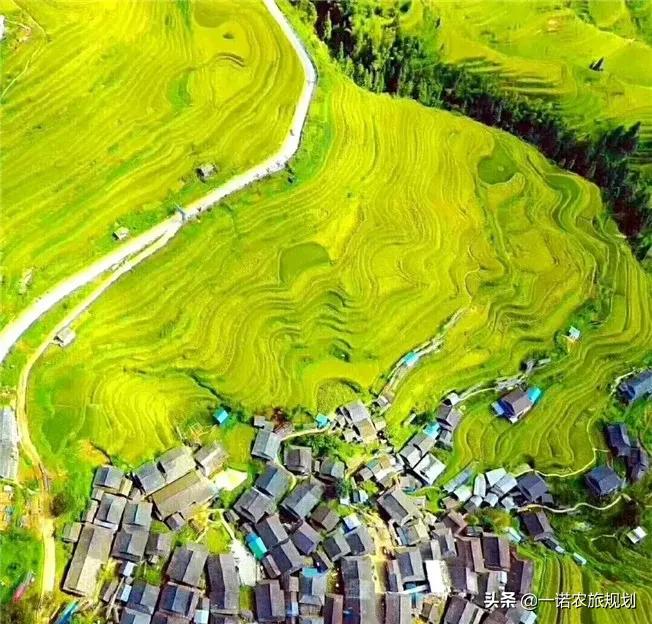 全国乡村产业发展规划重点支持乡村民宿和民宿康养