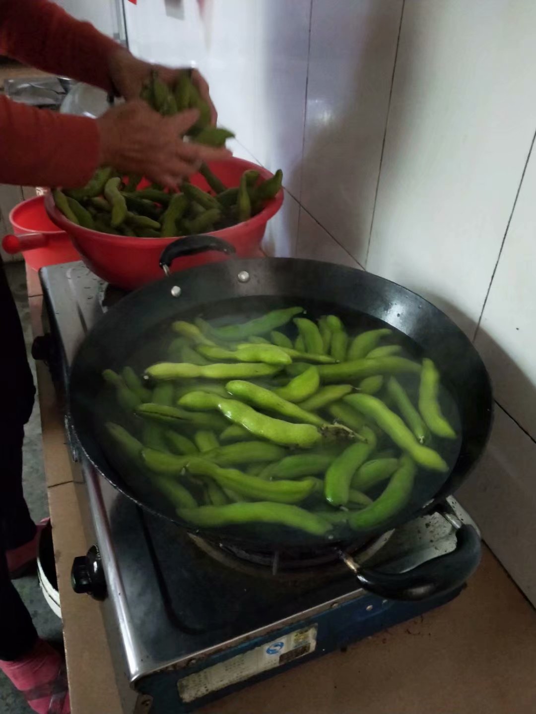 狗爪豆煮熟浸泡去毒过程