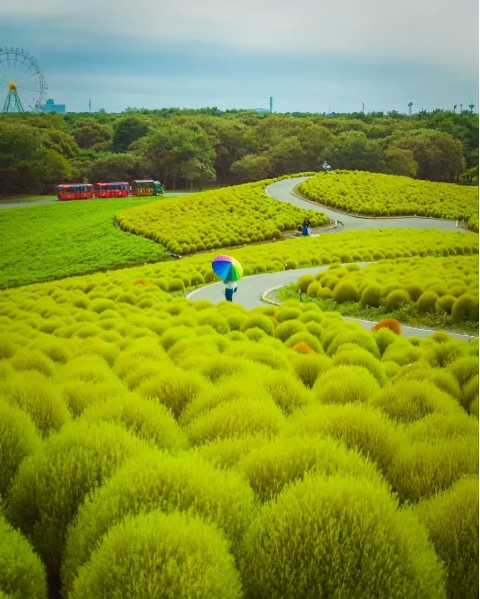 杭州日语培训班：分享几个日本的小众旅行地