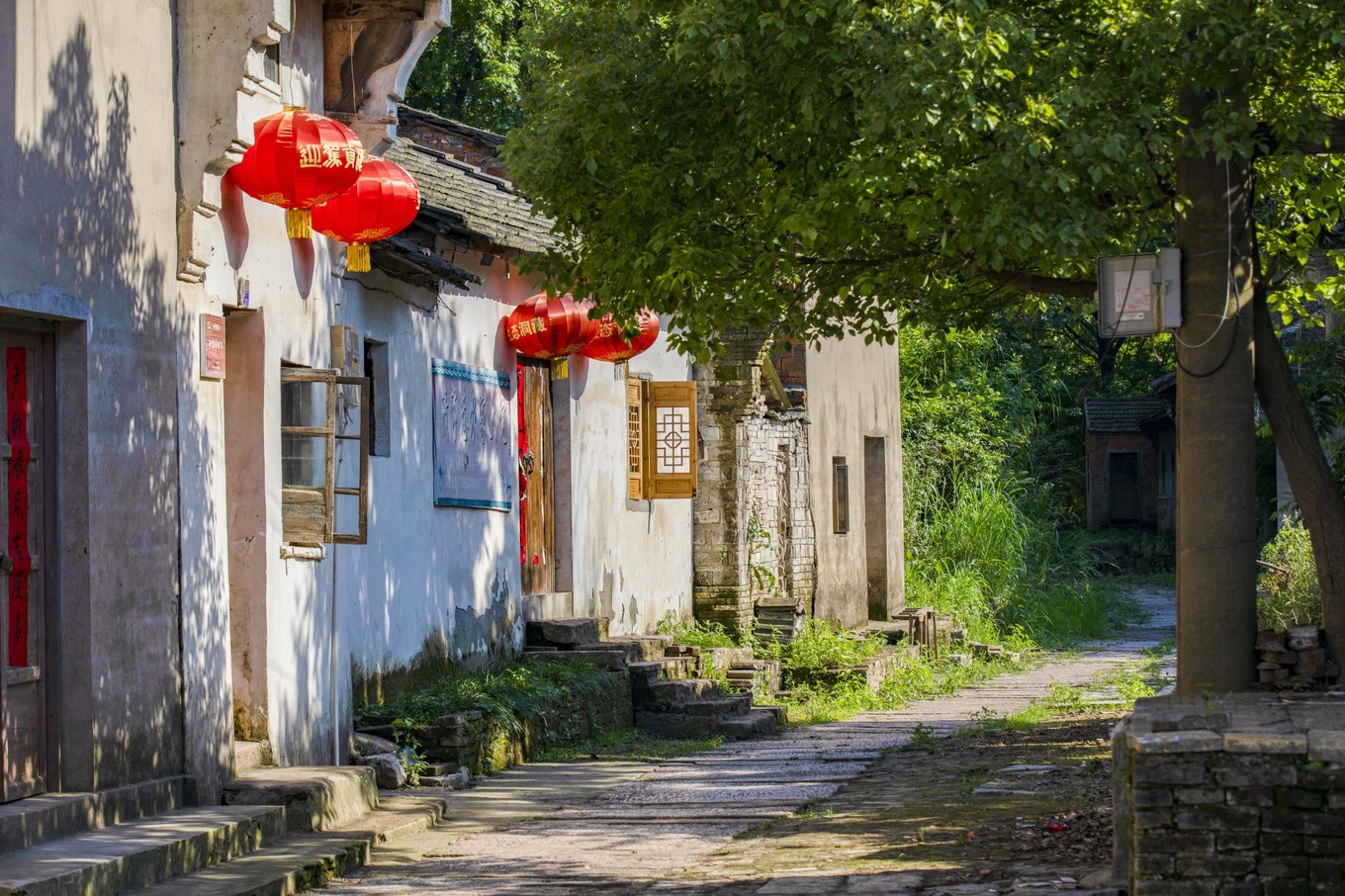 铜陵的一处江心小岛，长江江豚在这里与人类和谐共生