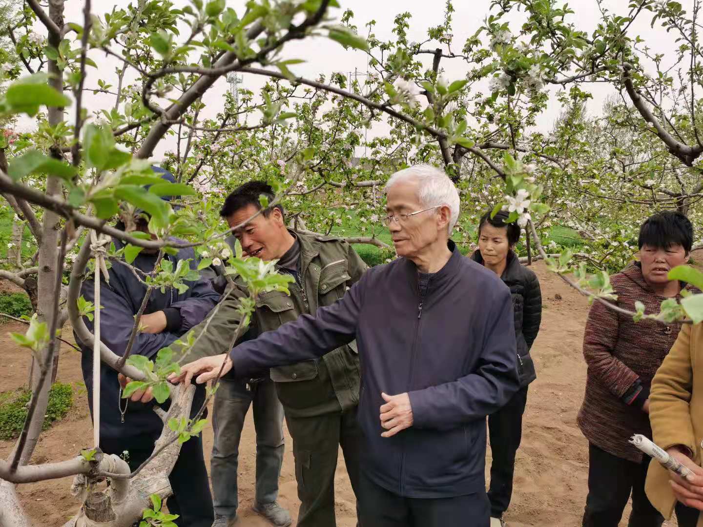 基層技術(shù)培訓為鄉(xiāng)村振興匹配“助推器”