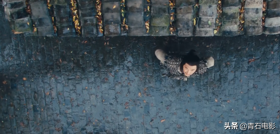 杨紫琼主演，上映时骂声一片，却是继《卧虎藏