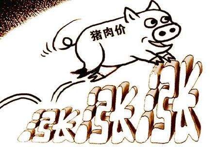 2020.5.28屠企调价剧烈，猪价进入混战模式，6月猪
