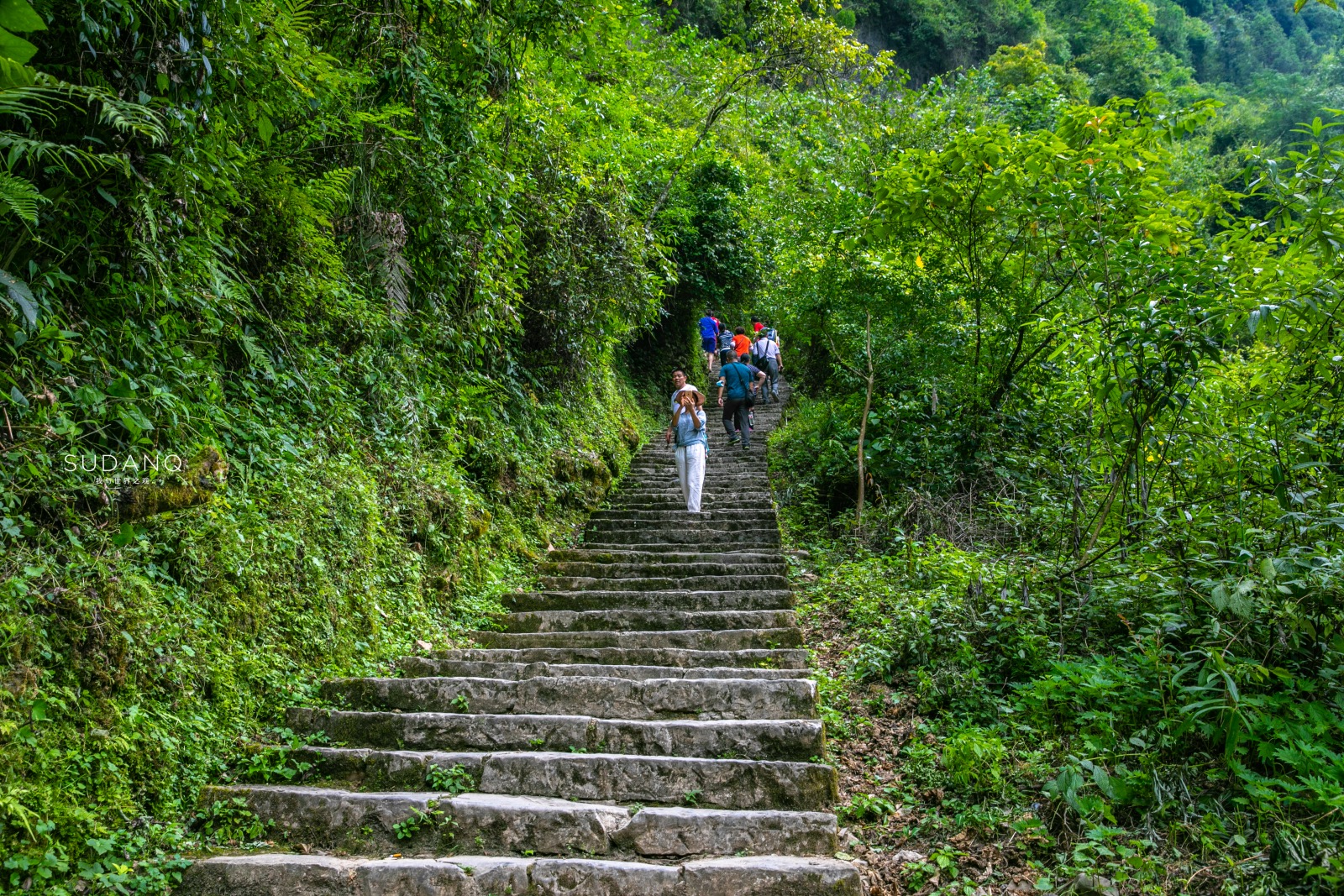 Secret Hubei Tour: Enshi Earth Heart Valley, named "China's Most Beautiful Wonderland" by CNN