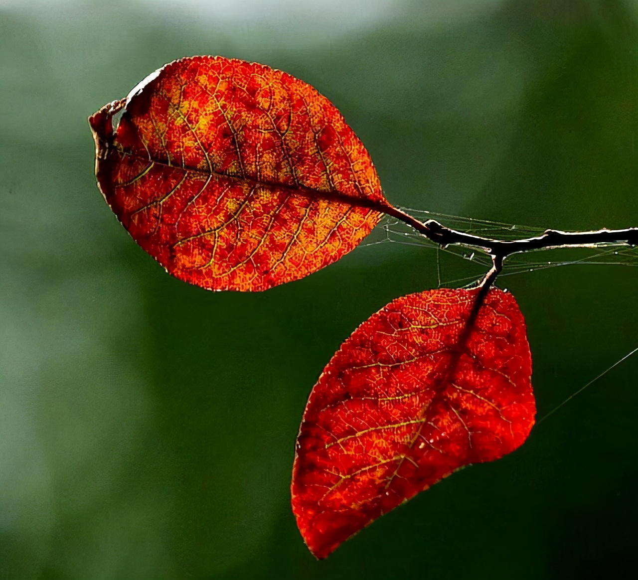 一個人最大的失敗，不是窮，而是吃不了這三種苦