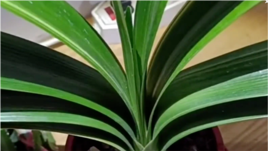 个人拍摄自媒体视频如何快速入门