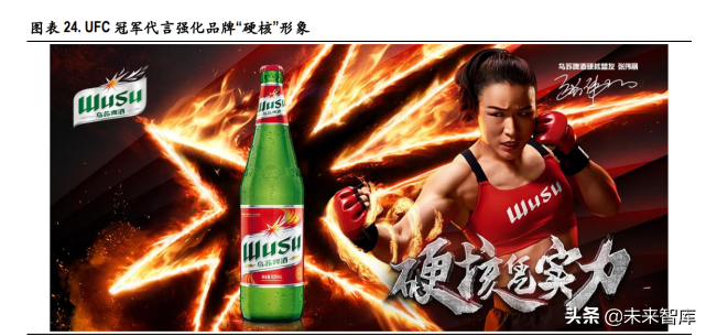 啤酒行业深度报告：行业竞争进入下半场，以价补量决胜高端