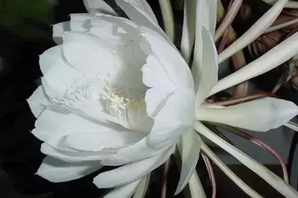 “Ĵ”֮⣬㻹֪ĸ