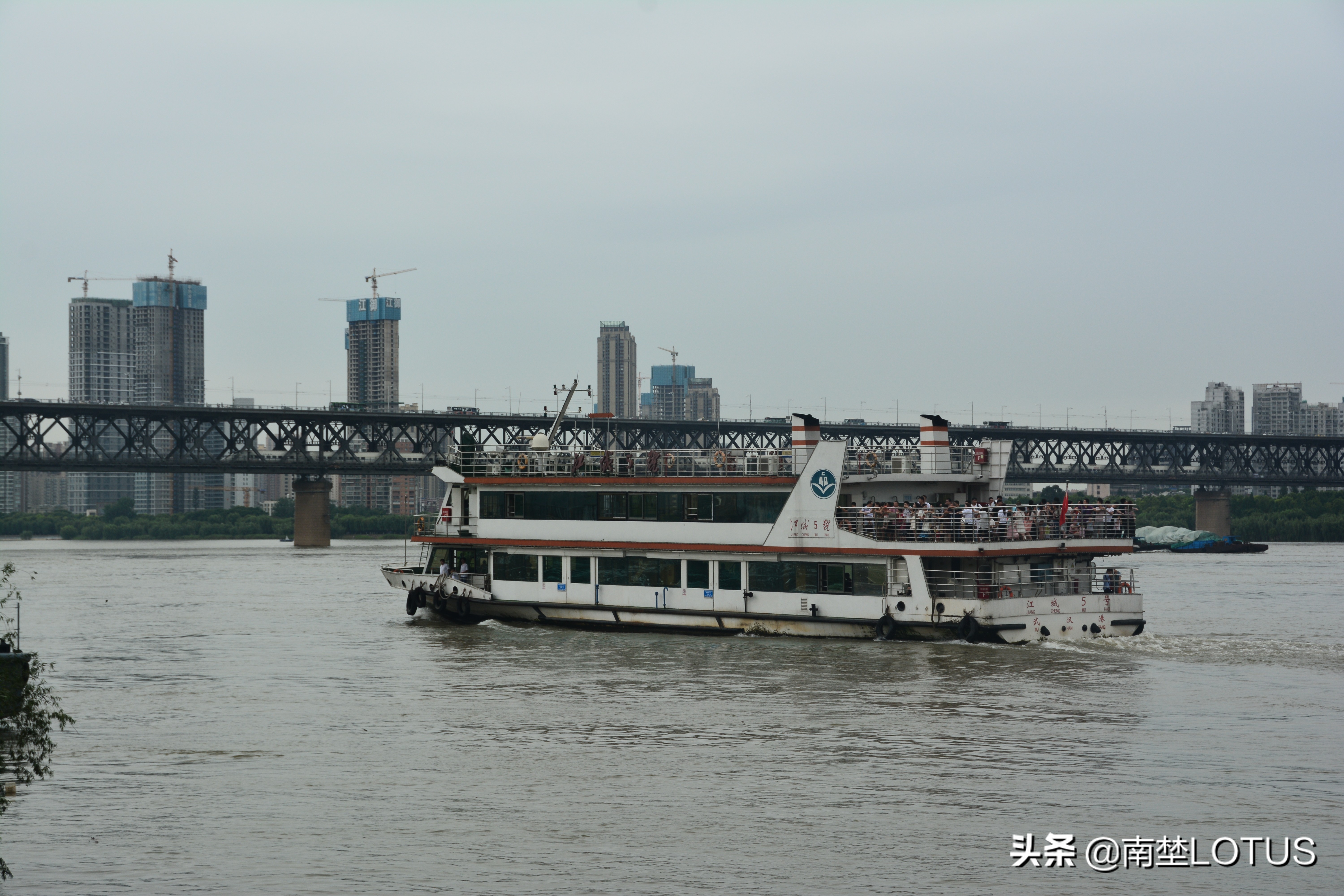 暴风雨也浇灭不了我们的热情(暴风雨浇灭不了江城716横渡长江游泳健将们的训练热情)