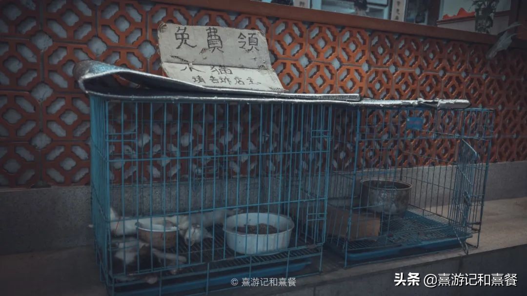 去了八次廈門之后，告訴你這30件事最值得