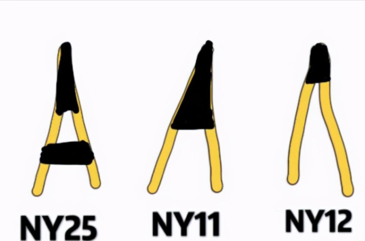 Detailed scientific explanation of the gold gradient cat color number