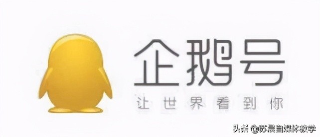 新手从0开始做自媒体，8个自媒体平台比较，这4个最容易上手