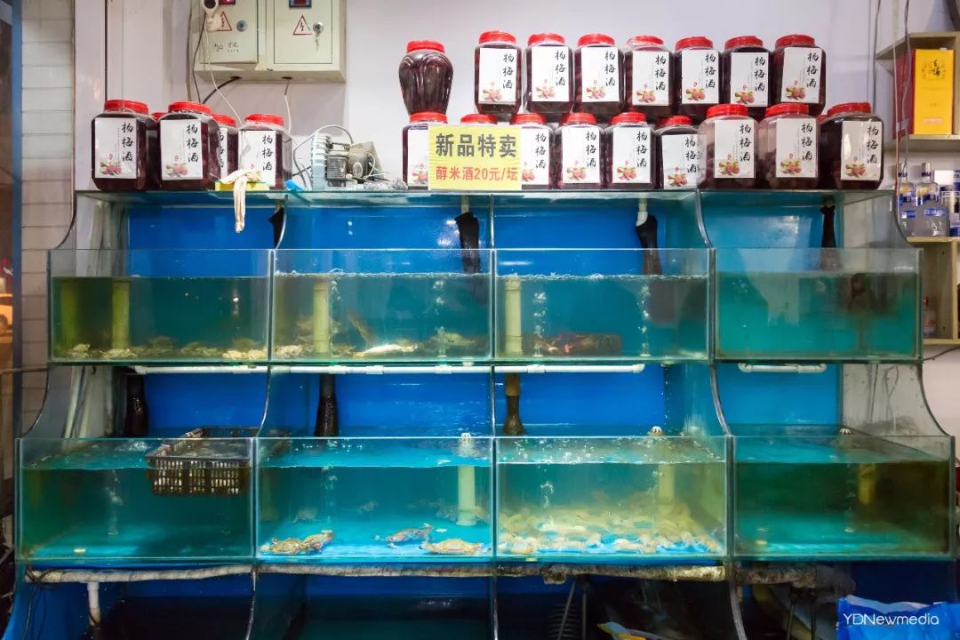 走进深夜的武汉南湖，只想说腐败至极