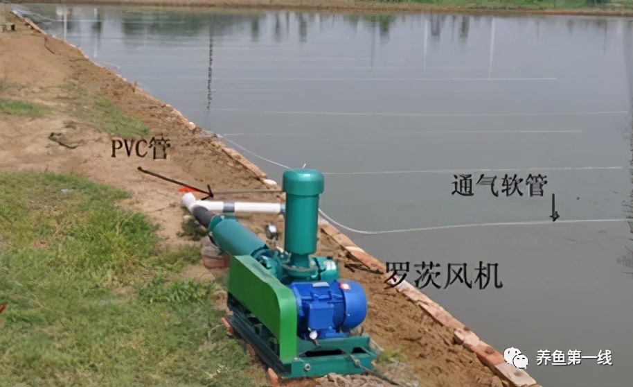 水产养殖机械增氧技术分析：利用机械增氧弥补增氧不足的问题