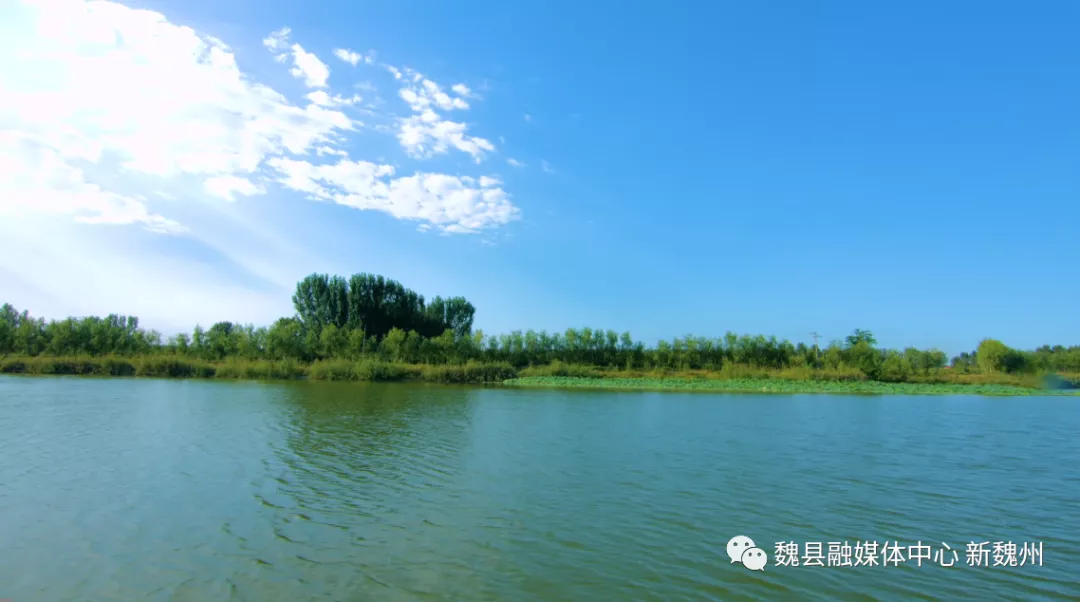 邯鄲魏縣：超美！鴨梨熟了