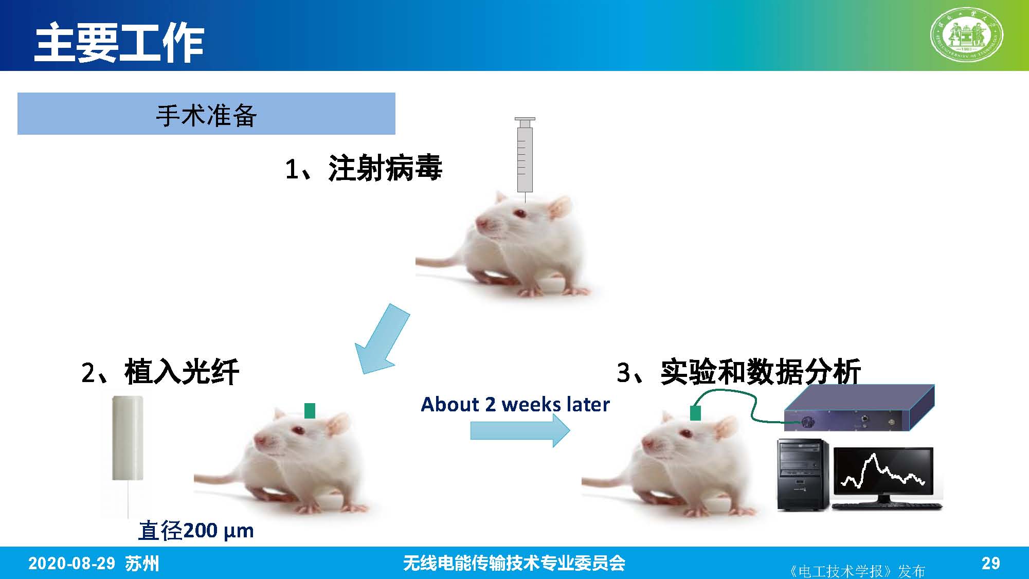 河北工业大学赵军博士：无线电能传输系统的生物电磁综合效应研究