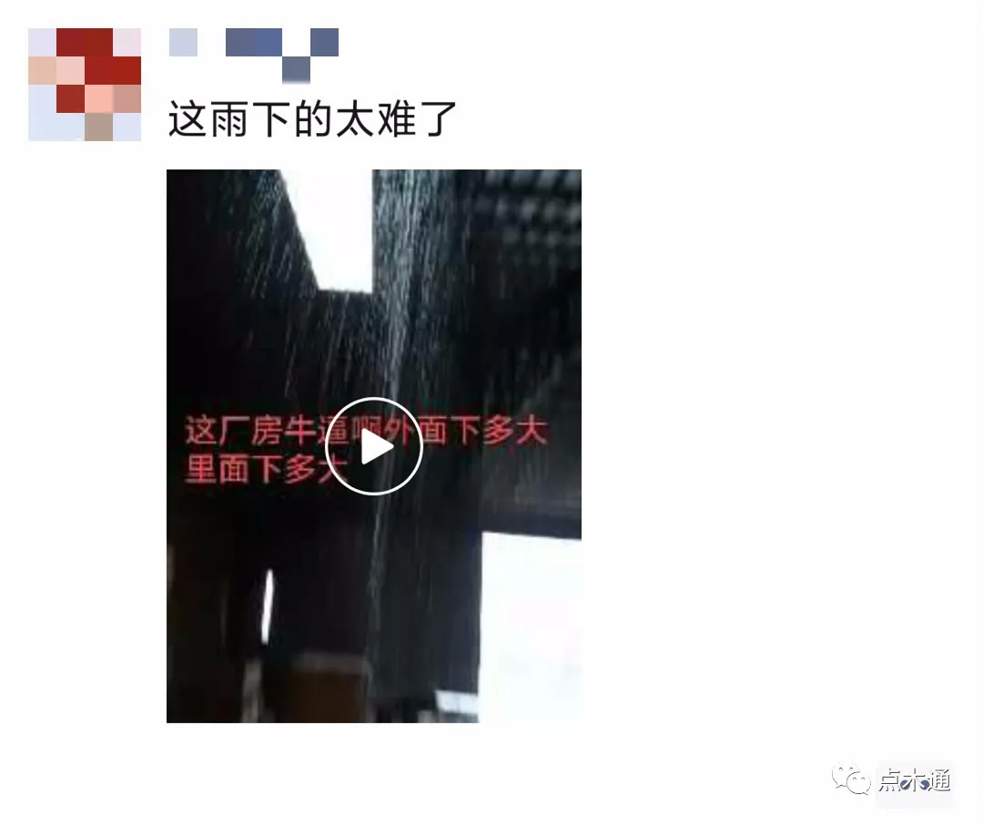 八月暴雨此起彼伏，木材人风雨无阻，向阳而生