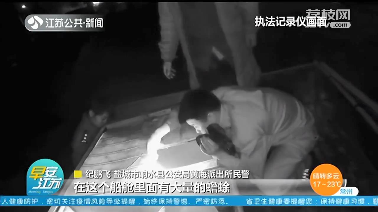 响水夫妻捕捉53只癞蛤蟆被起诉 涉嫌&ldquo;非法狩猎罪&rdquo;