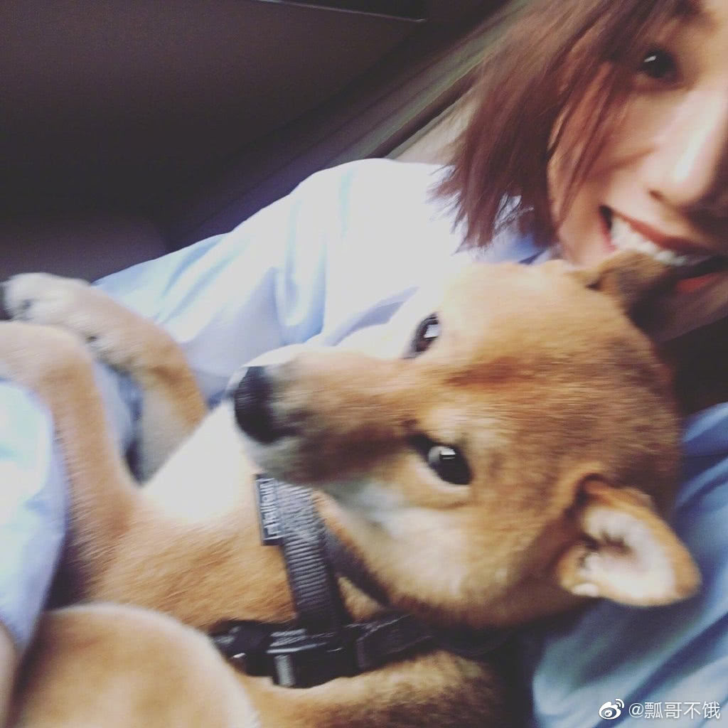 薇娅直播、王珞丹“退货”、彭彭恋爱，轮番为《向往4》增添热度