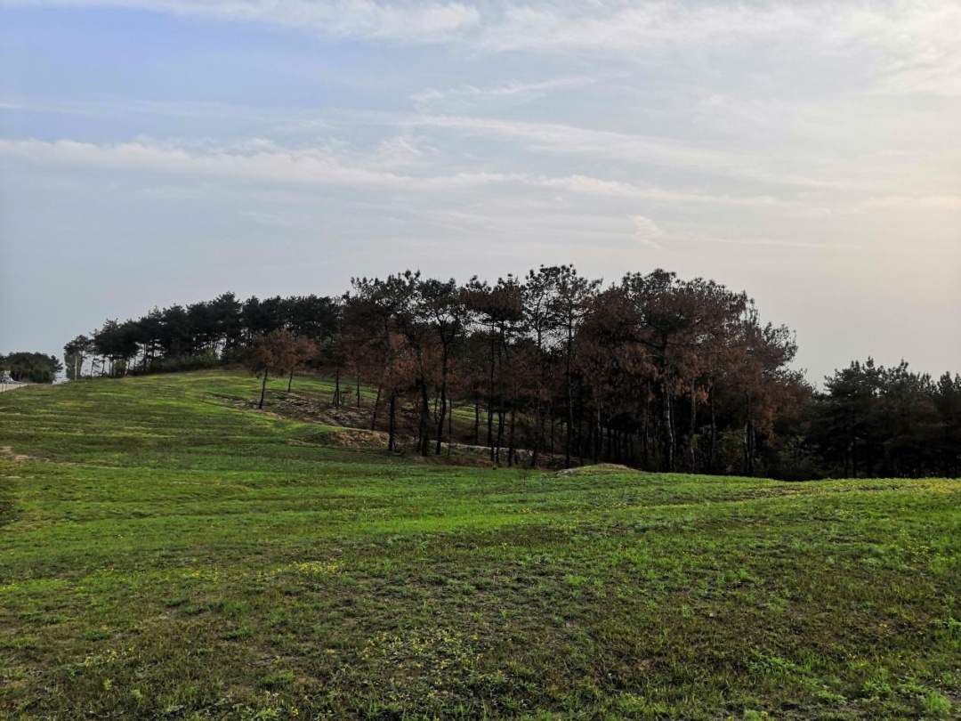 �׽����������Ļ����ν����湥�ԡ��ʺ�����