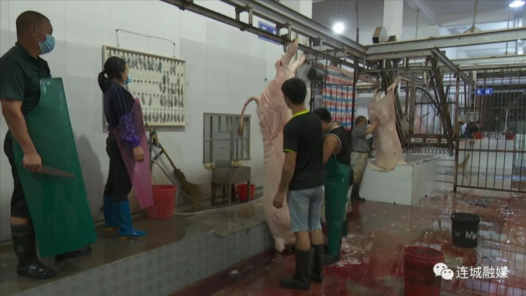 「我为群众办实事」连城：严把生猪屠宰检疫关 让群众吃上“放心肉”