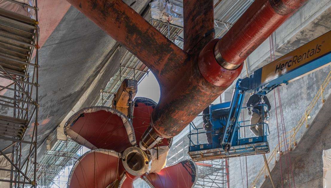 航空母舰的螺旋桨有多可怕？看看这些海洋生物