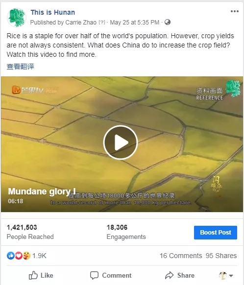 熟悉中发现风景，平凡中诠释闪耀——《闪耀的