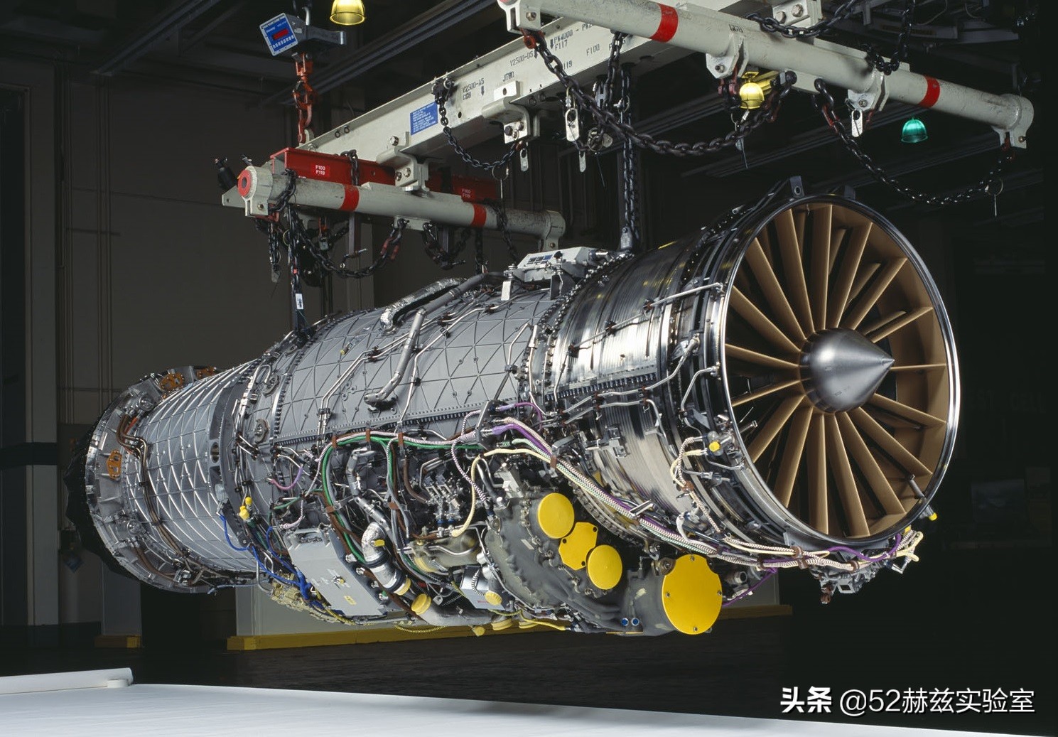 ���շ�����Ϊ�α��������¢�ϣ������ѵ������