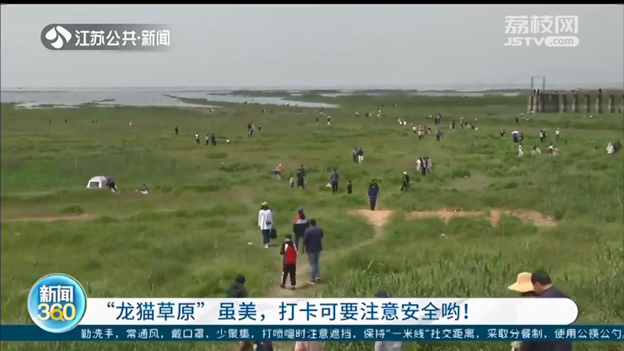南京版“龙猫草原”虽美，打卡要注意安全！栈桥属危桥，禁止入内