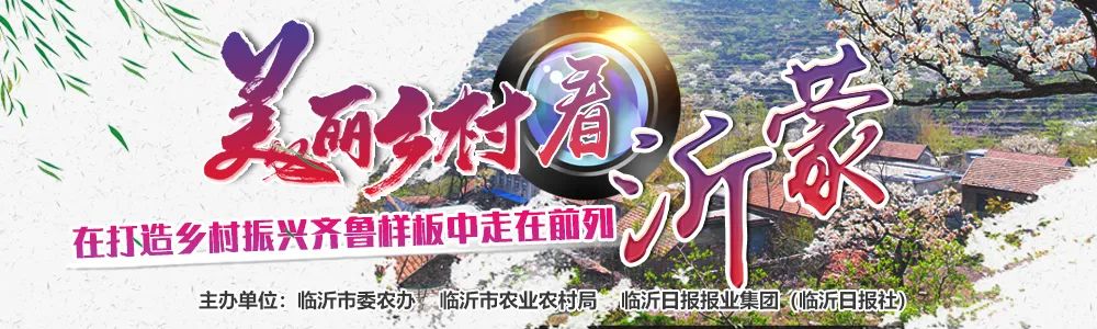 美丽乡村看沂蒙-走进罗庄