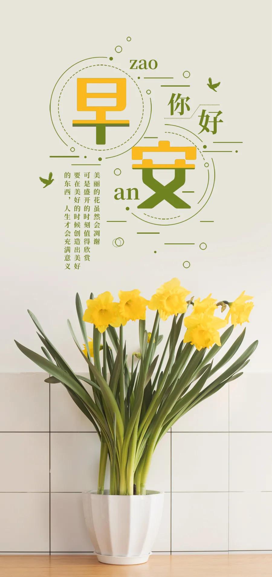 「2020.11.21」早安心语，正能量励志经典语录清晨问候