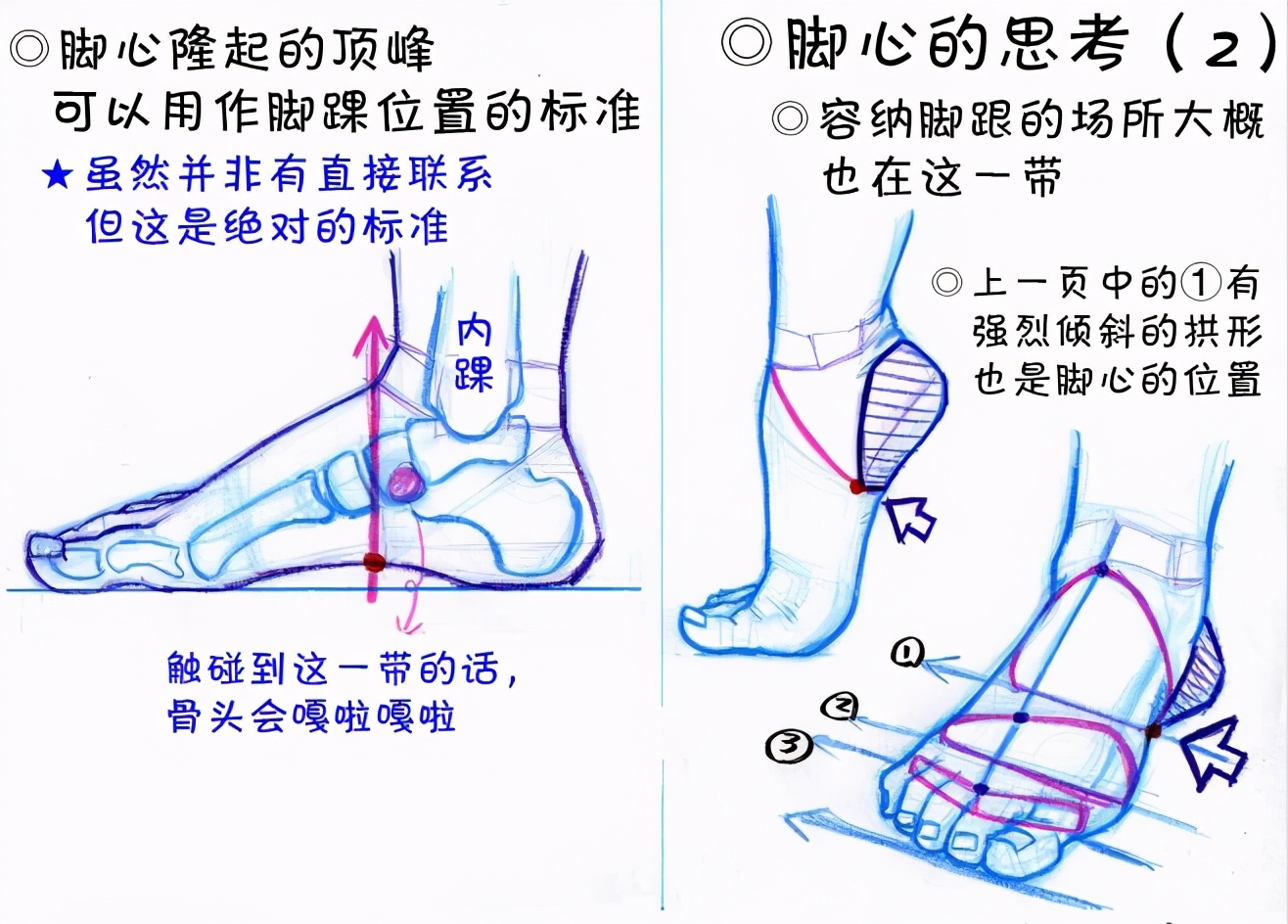 新手画脚难到升天？人物脚部不会画？“正经”脚部画法教程来啦