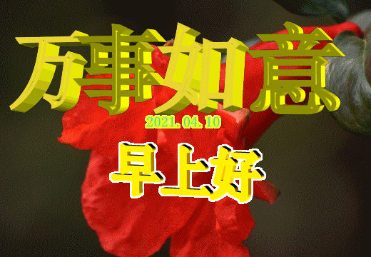 2021年最火的早上好句子，一天一句心情早安语图片