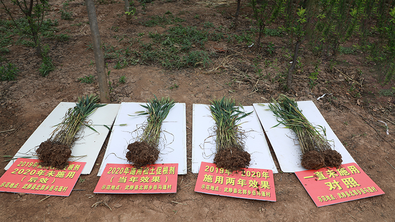 土壤改良有新法兒，松土促根土壤改良技術，助力構建健康疏松耕層