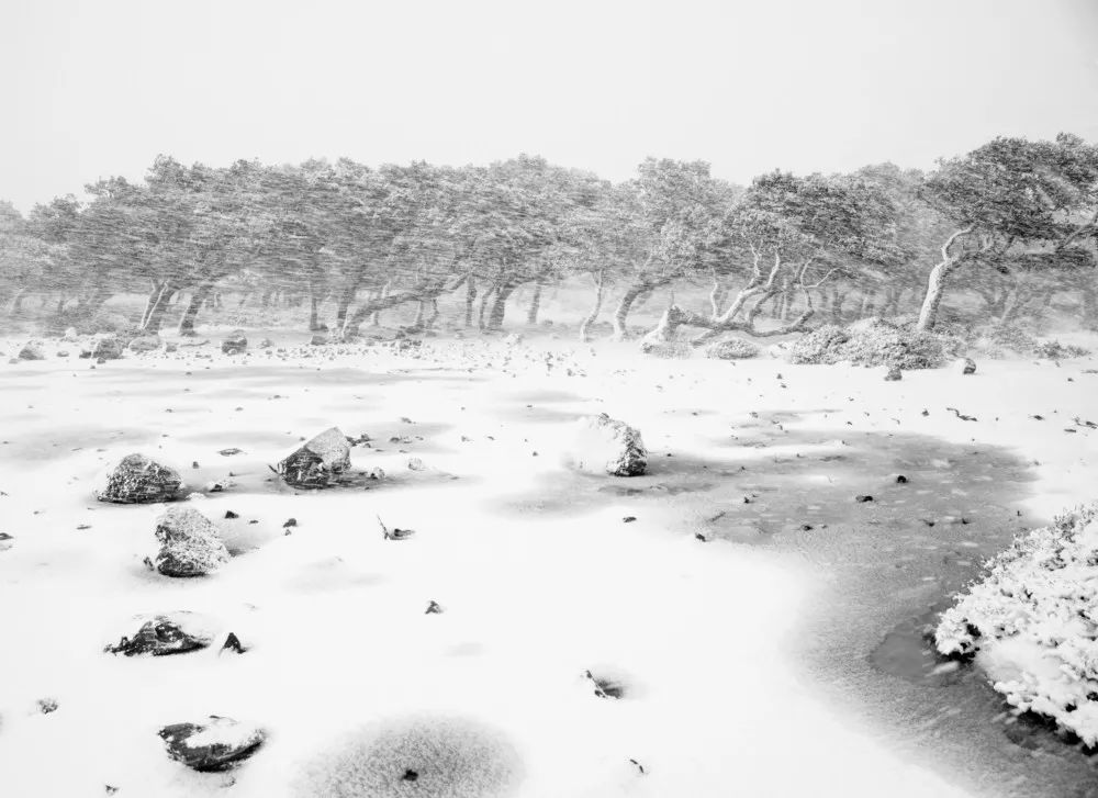 分不清是現實還是虛幻：45張攝影作品，捕捉大自然的神秘