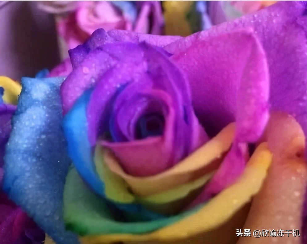 Take everyone to understand the production process of colorful eternal