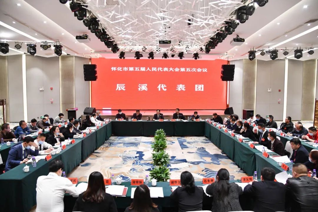 【图片新闻】市五届人大五次会议各代表团举行分组讨论