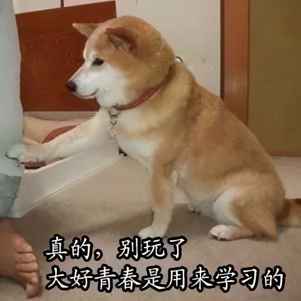 刚刚，临沂中小学寒假放假时间公布